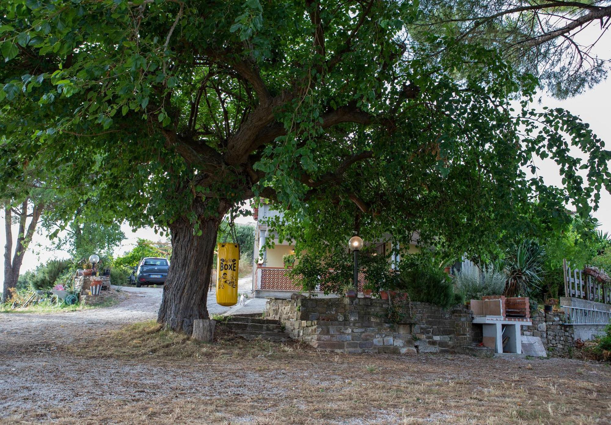 Diamante Holiday home Ogliastro Cilento